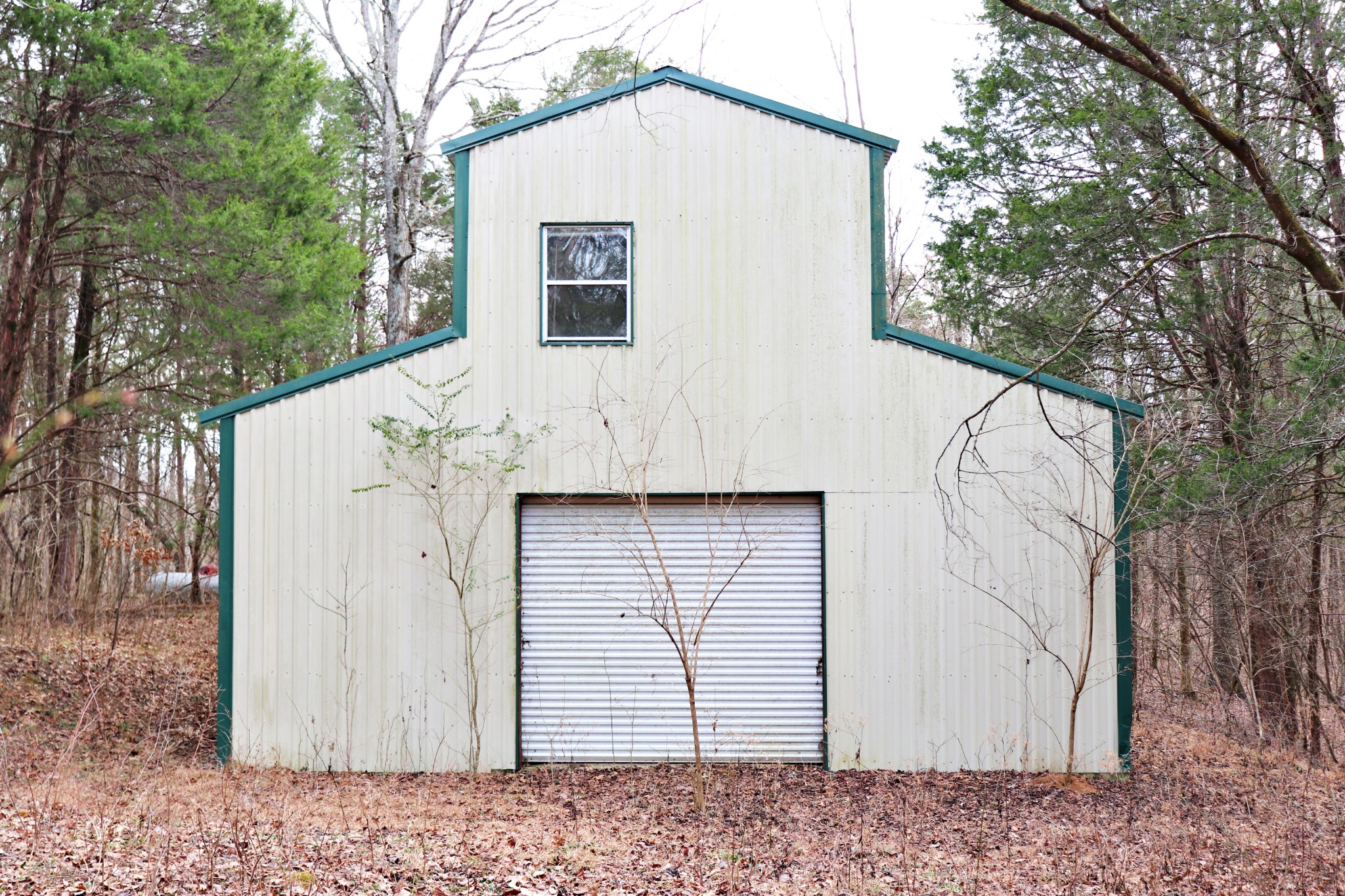 635 East Robertson Road Castalian Springs, TN 37031 - Photo 39 of 69 Gallery Image 39