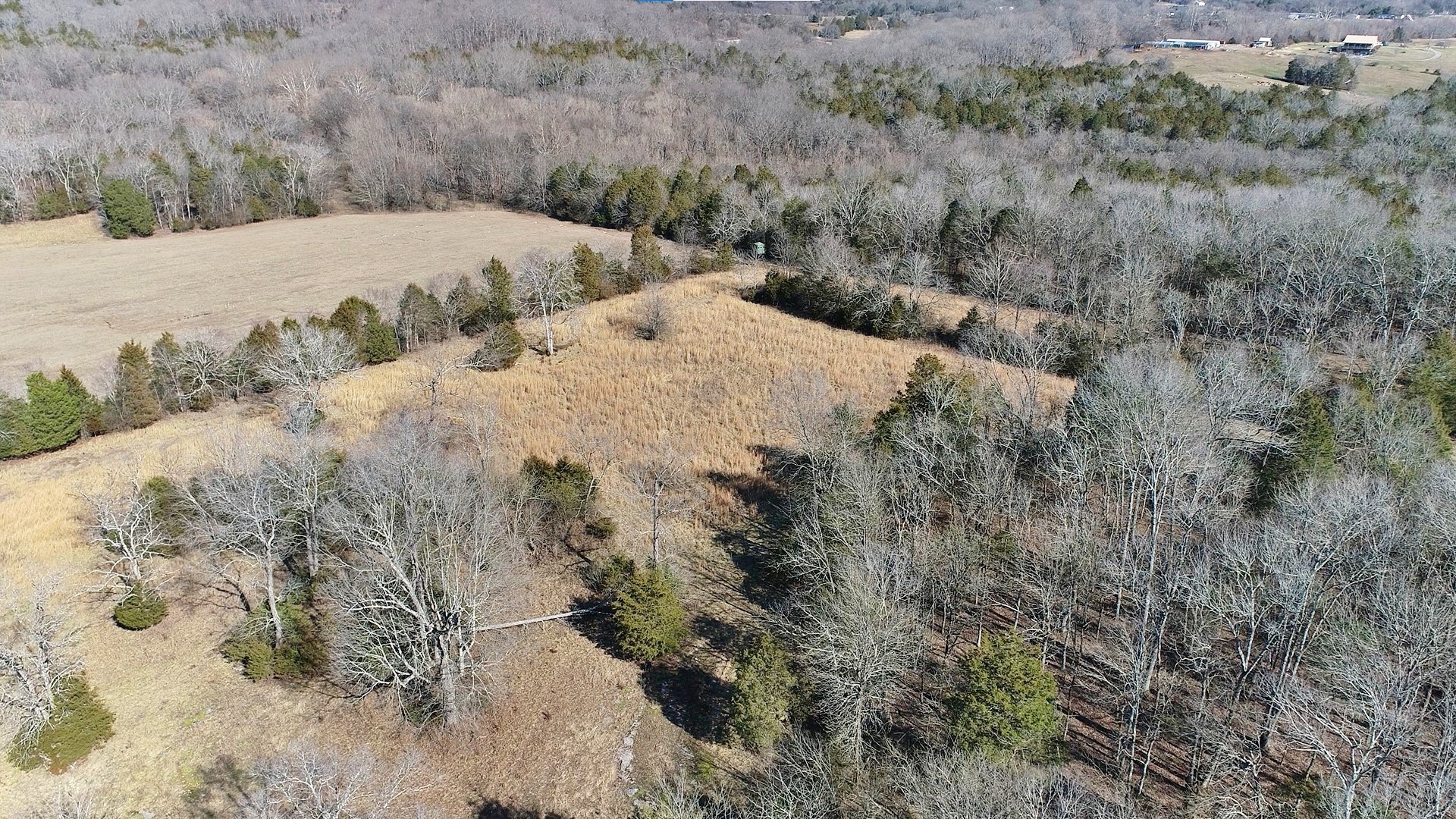 635 East Robertson Road Castalian Springs, TN 37031 - Photo 47 of 69 Gallery Image 47