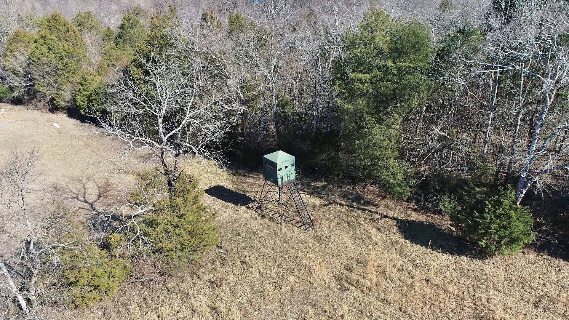 635 East Robertson Road Castalian Springs, TN 37031 - Photo 48 of 69 Gallery Image 48