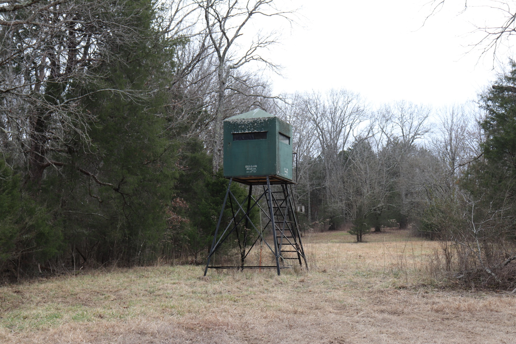 635 East Robertson Road Castalian Springs, TN 37031 - Photo 49 of 69 Gallery Image 49