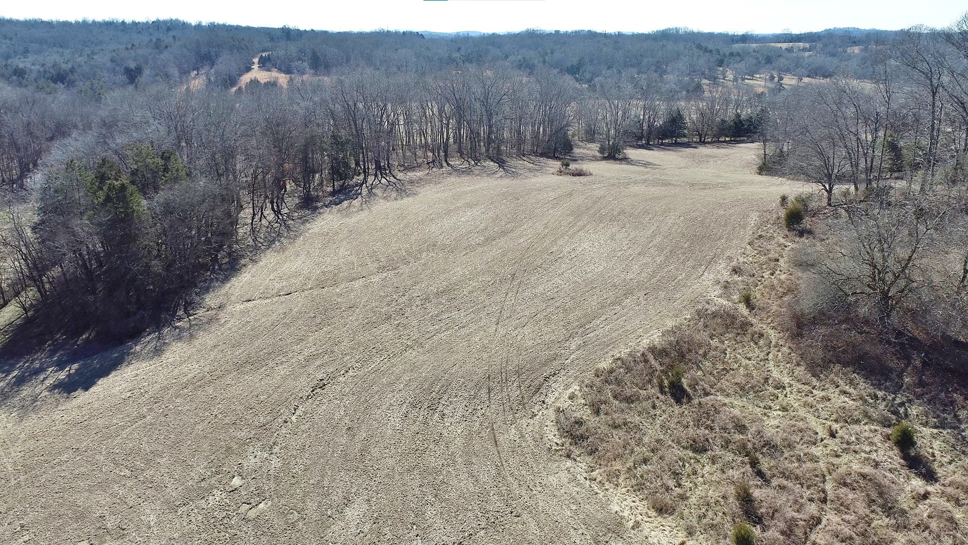 635 East Robertson Road Castalian Springs, TN 37031 - Photo 52 of 69 Gallery Image 52