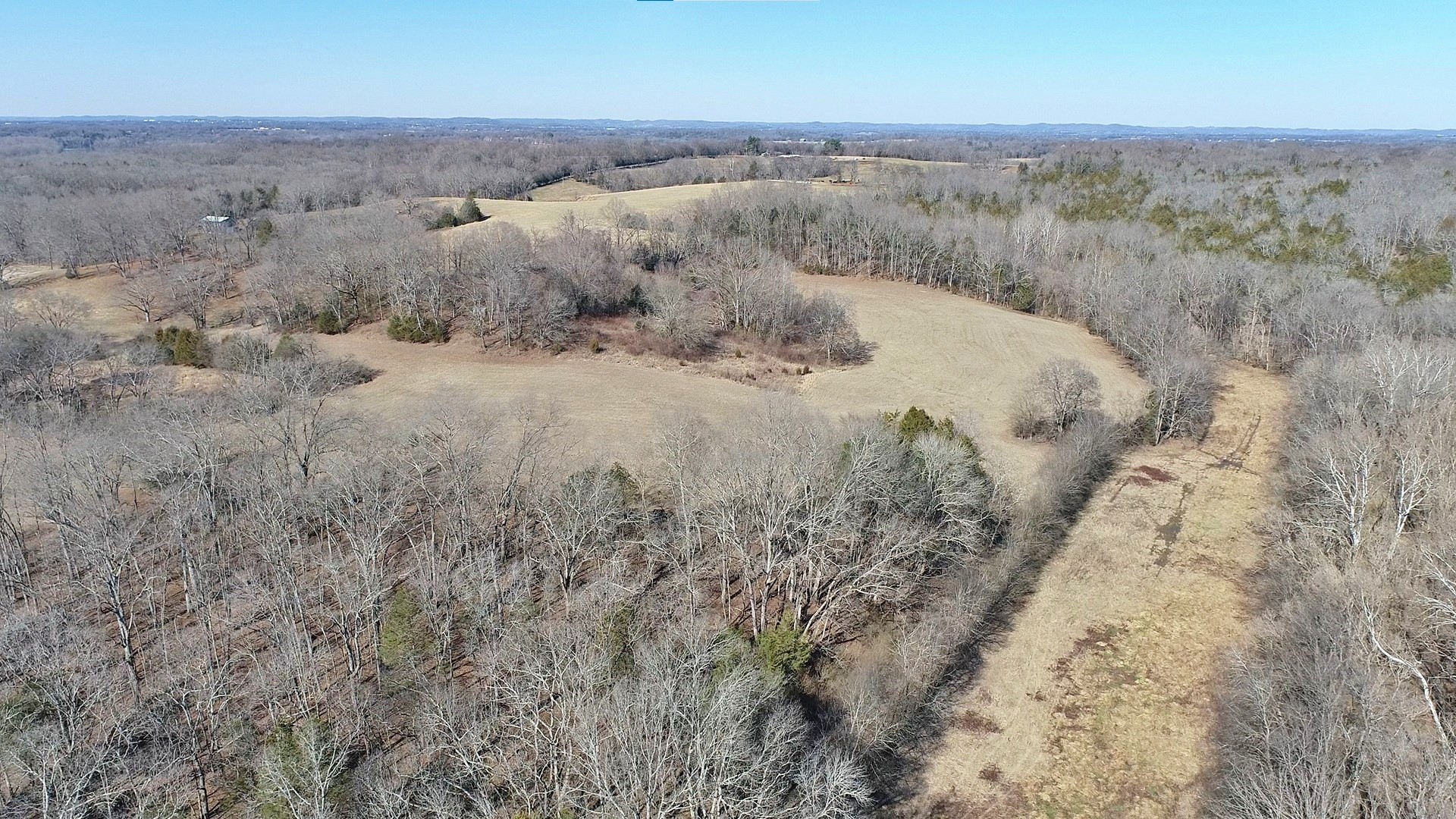 635 East Robertson Road Castalian Springs, TN 37031 - Photo 54 of 69 Gallery Image 54
