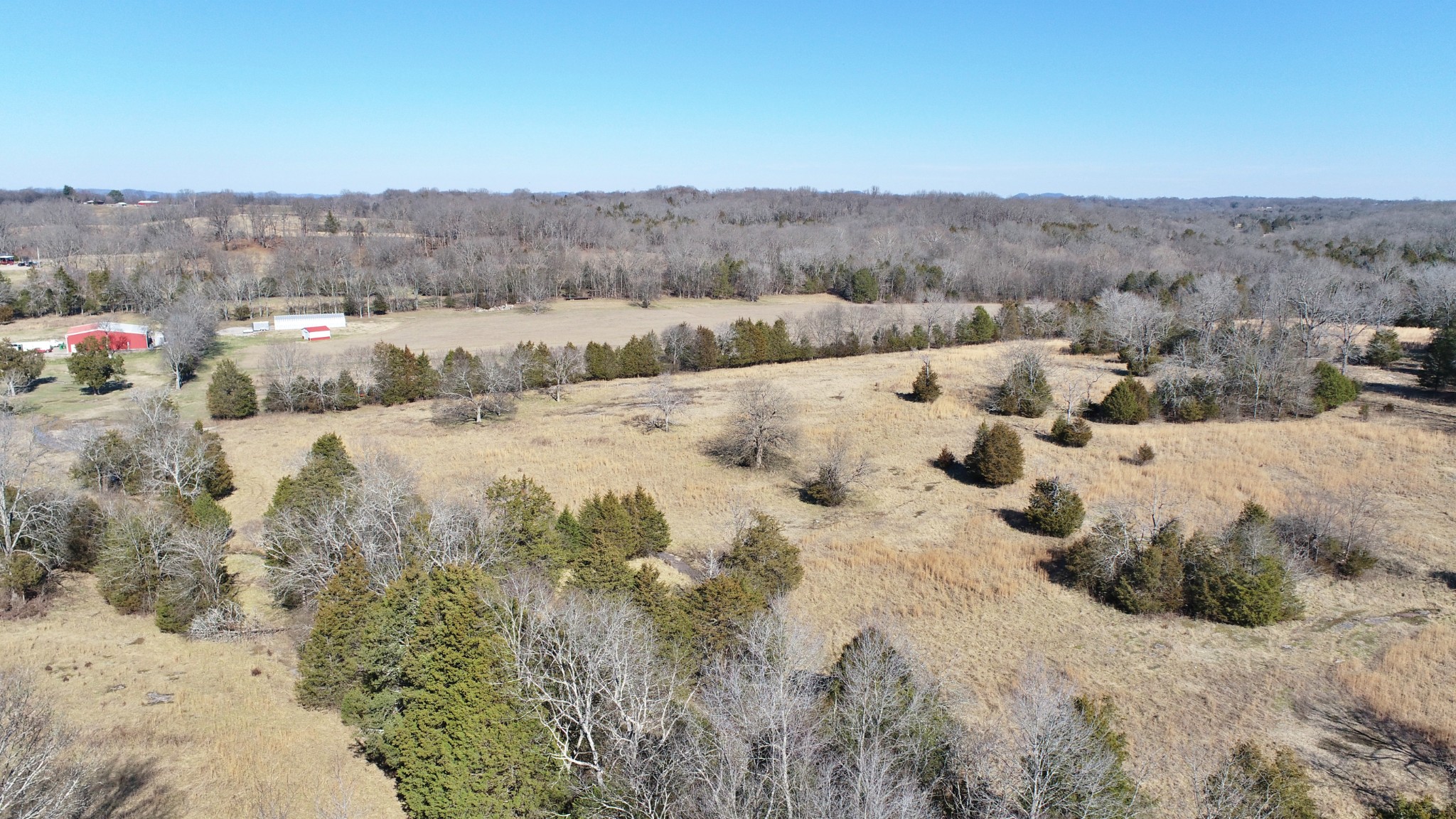 635 East Robertson Road Castalian Springs, TN 37031 - Photo 62 of 69 Gallery Image 62