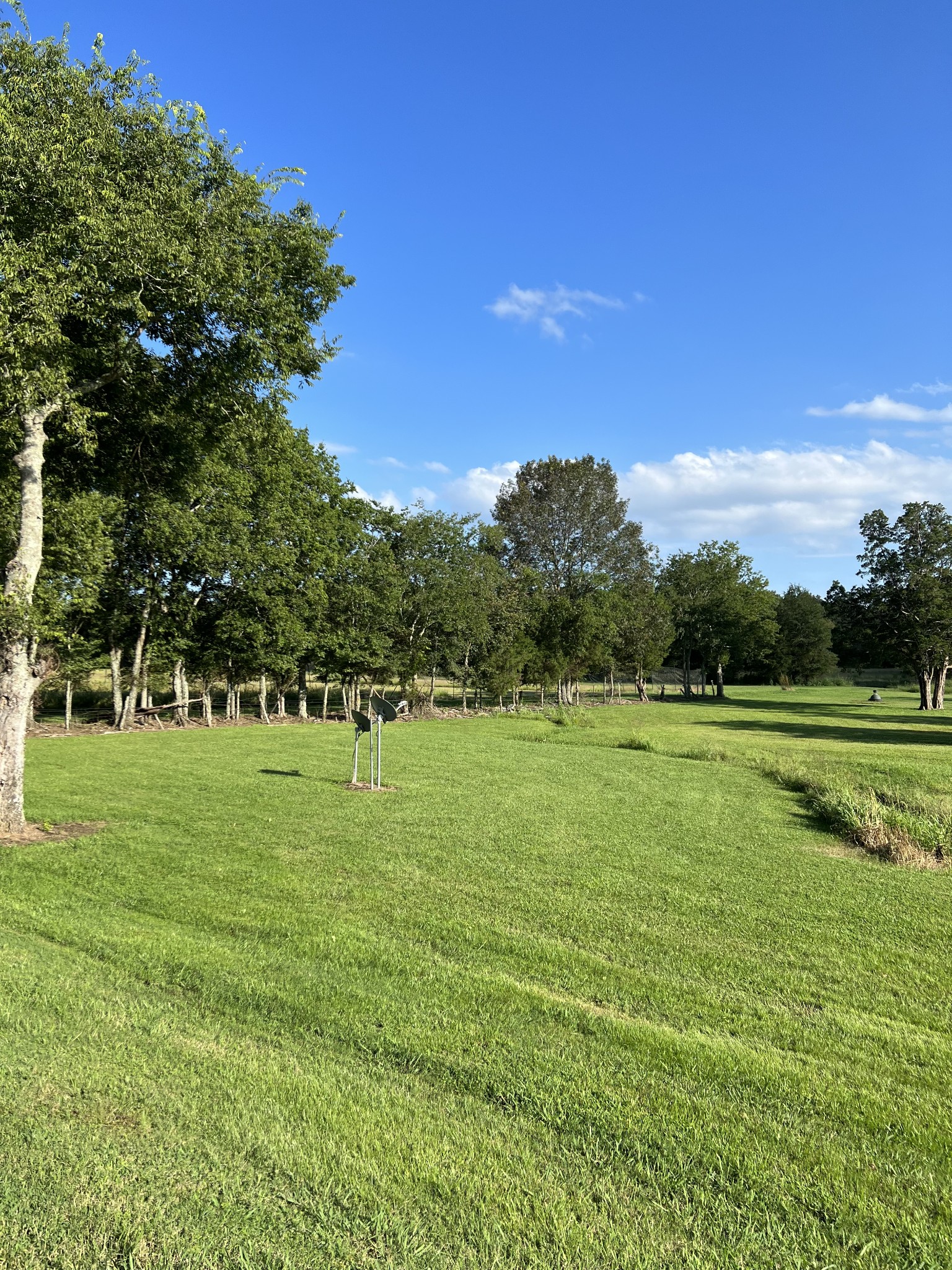 635 East Robertson Road Castalian Springs, TN 37031 - Photo 65 of 69 Gallery Image 65