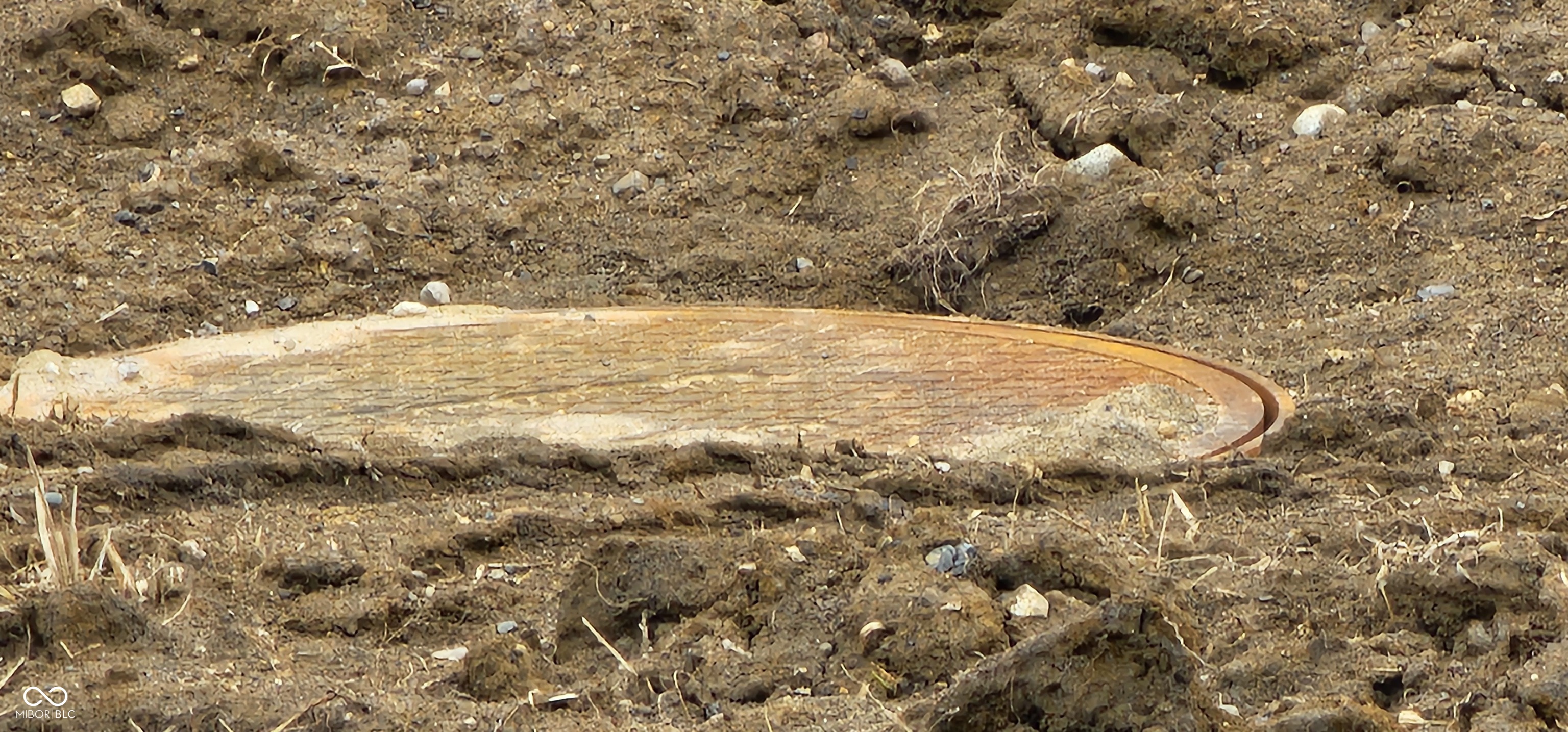 8340 South 750 West Pendleton, IN 46064 - Photo 6 of 7