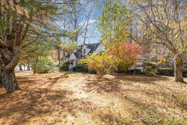 a view of a yard with a tree