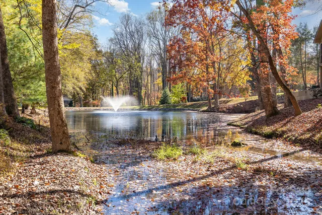 a water fountain covered with trees in the background