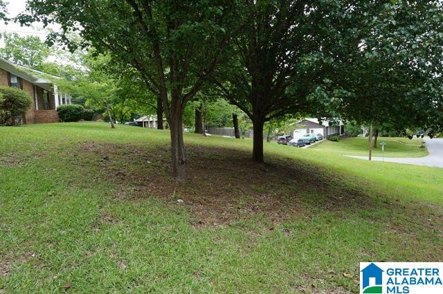 809 Burning-Tree Trail Alabaster, AL 35007 - Photo 6 of 29