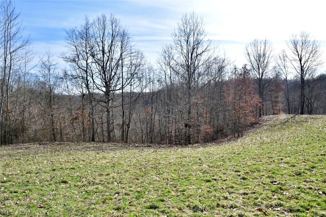1330 Butterbean Ridge Road Philo, OH 43771 - Photo 31 of 35