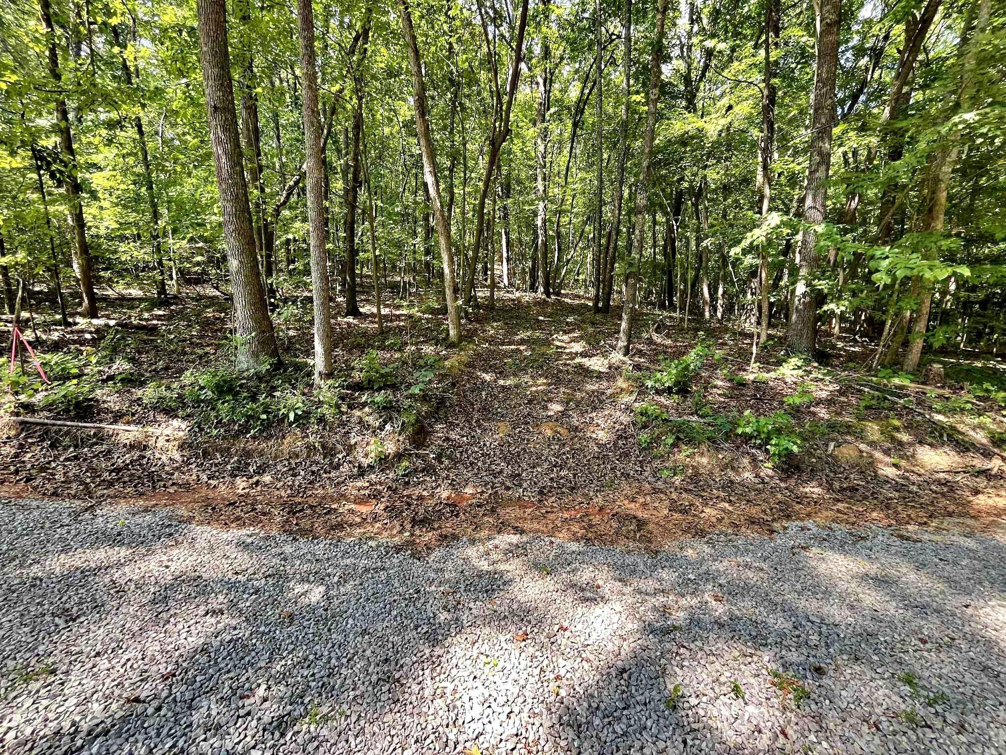 4 Raby Hollow Road Kingston, TN 37763 - Photo 4 of 8