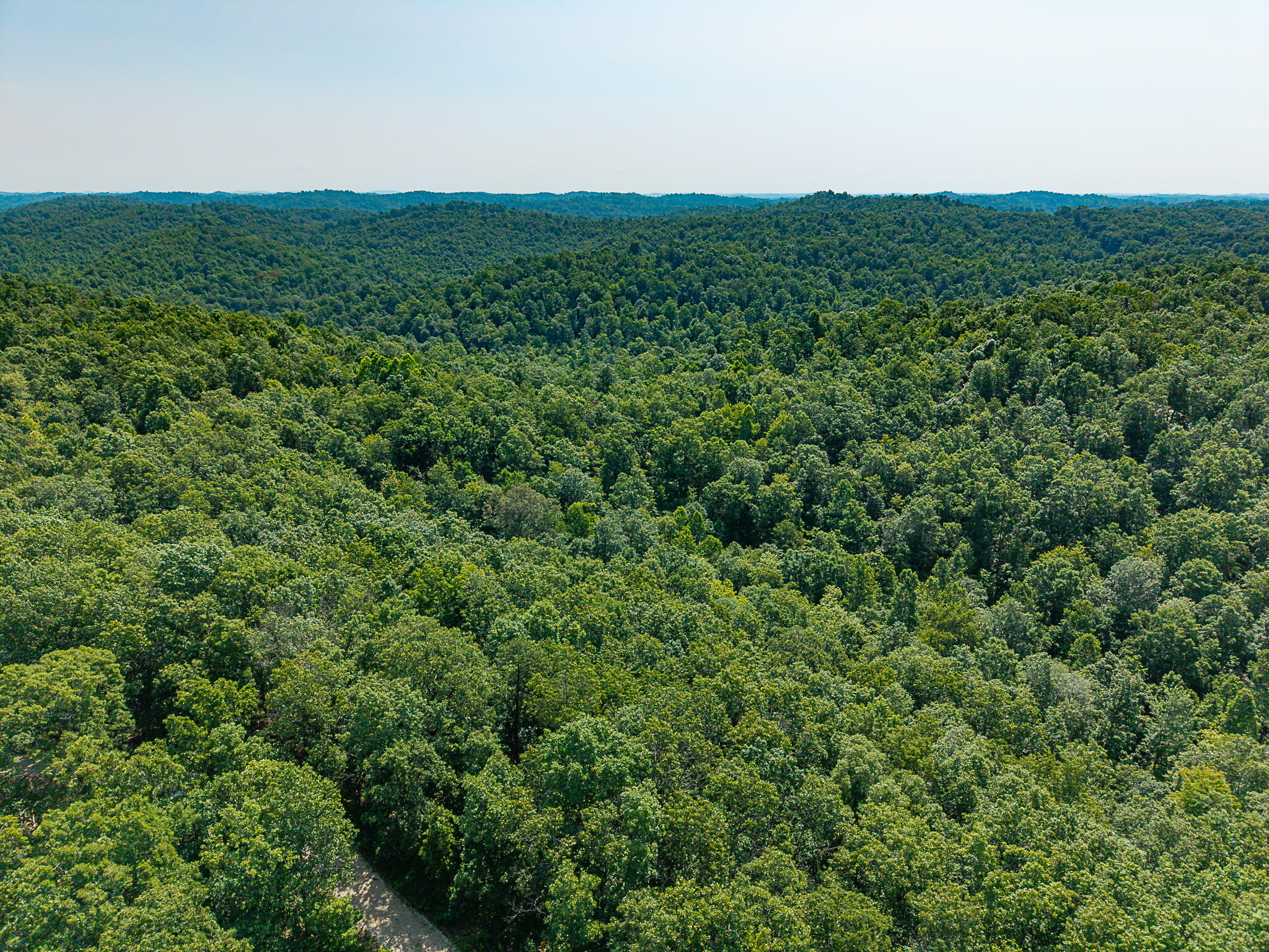 700 Clay Camp Road Hitchins, KY 41146 - Photo 26 of 108 Aerial of Property