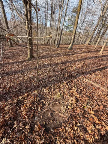 $159,000 | 0 Hellsneck Road, Waverly, TN 37185