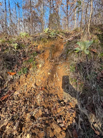 $159,000 | 0 Hellsneck Road, Waverly, TN 37185