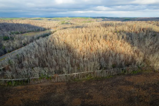 a view of a yard with an outdoor space