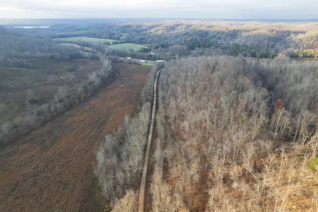 a view of a dry yard with green space