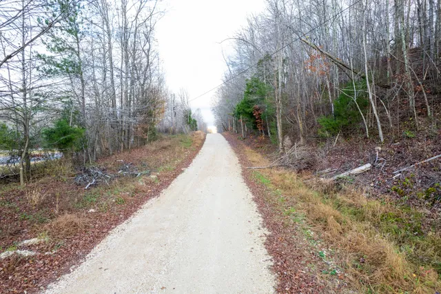 a view of pathway with a wrought fence