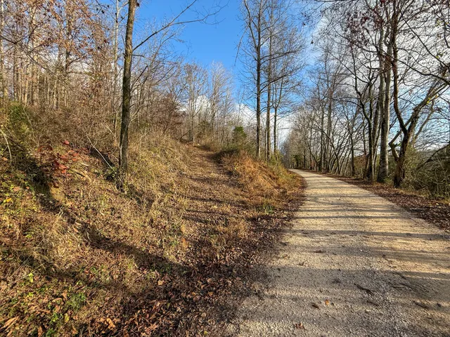 a view of dirt yard with a tree