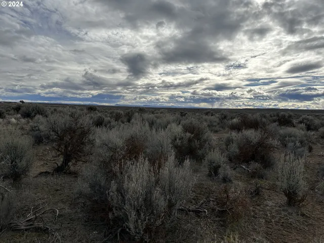 $9,000 | Millican Road, Unit 300, Christmas Valley, OR 97641