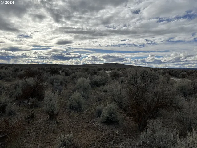 $9,000 | Millican Road, Unit 300, Christmas Valley, OR 97641