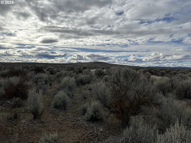 $9,000 | Millican Road, Unit 300, Christmas Valley, OR 97641