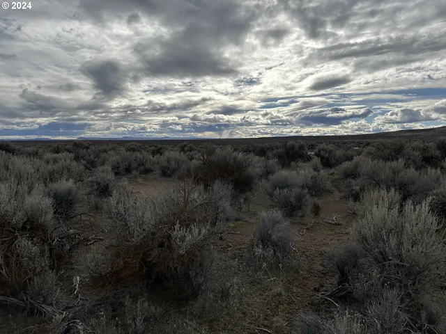 $9,000 | Millican Road, Unit 300, Christmas Valley, OR 97641