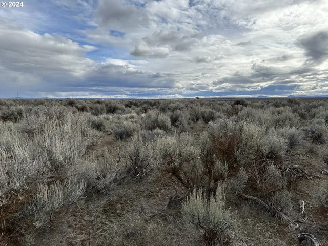 $9,000 | Millican Road, Unit 300, Christmas Valley, OR 97641