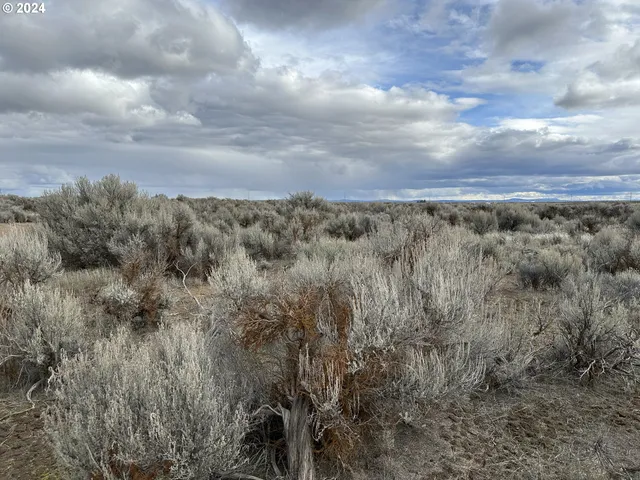 $9,000 | Millican Road, Unit 300, Christmas Valley, OR 97641