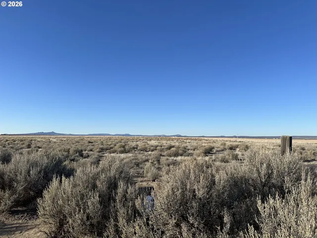 $9,000 | Millican Road, Unit 300, Christmas Valley, OR 97641