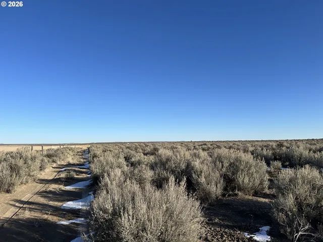 $9,000 | Millican Road, Unit 300, Christmas Valley, OR 97641