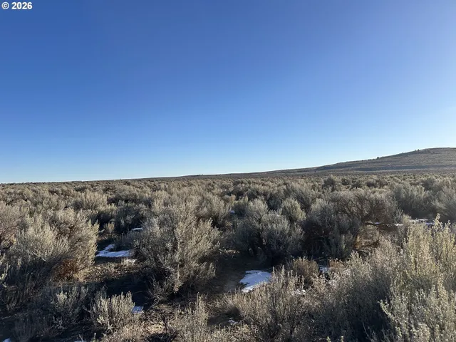 $9,000 | Millican Road, Unit 300, Christmas Valley, OR 97641