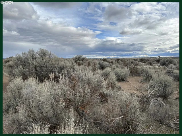 $9,000 | Millican Road, Unit 300, Christmas Valley, OR 97641