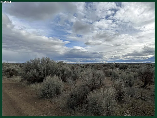 $9,000 | Millican Road, Unit 300, Christmas Valley, OR 97641