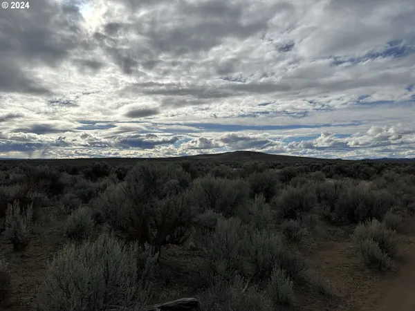 a view of city and green space