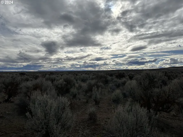 $9,000 | Millican Road, Unit 300, Christmas Valley, OR 97641