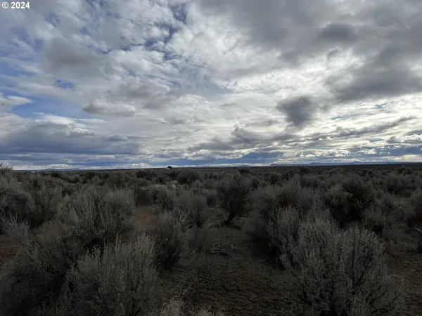 a view of a dry yard with wooden fence