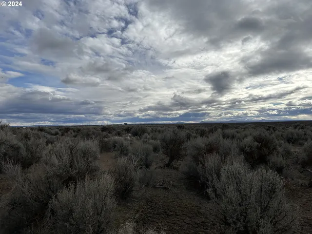 $9,000 | Millican Road, Unit 300, Christmas Valley, OR 97641