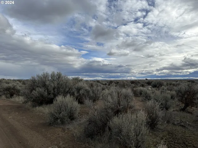 $9,000 | Millican Road, Unit 300, Christmas Valley, OR 97641