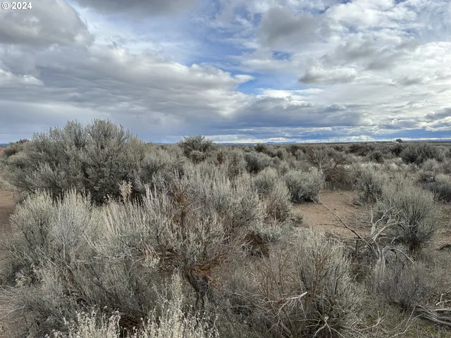 $9,000 | Millican Road, Unit 300, Christmas Valley, OR 97641