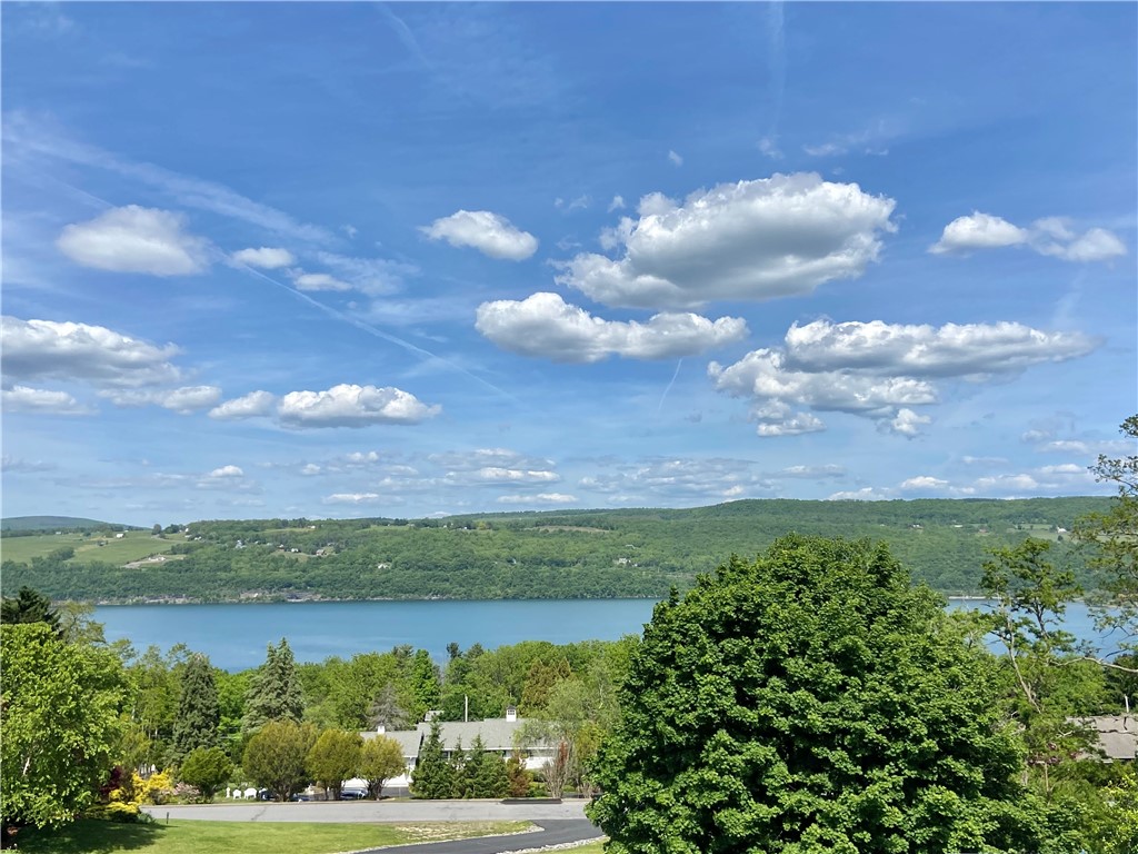246 Lee Road Reading, NY 14891 - Photo 4 of 41 Seneca Lake views