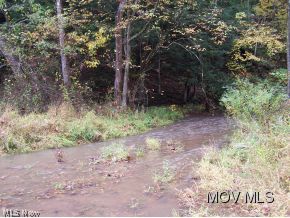 1336 Tanner Fork Road Shock, WV 26638 - Photo 4 of 14 Stream in front of property