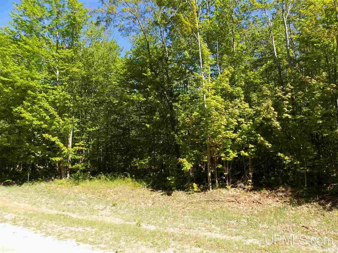 Tbd Northshore Bluffs Road, Unit 4 Manistique, MI 49854 - Photo 11 of 21