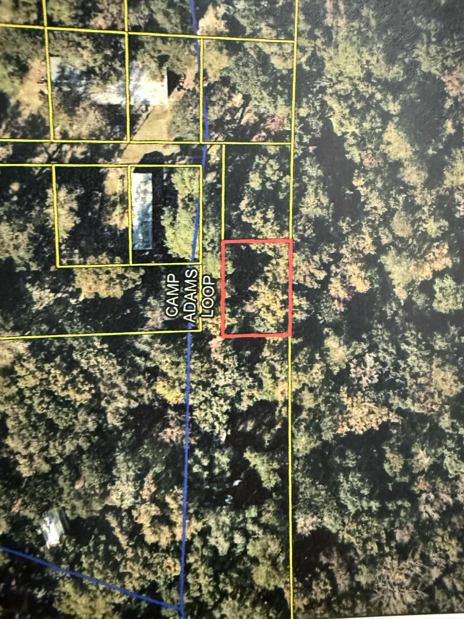 105 Camp Adams Road Ponce de Leon, FL 32455 - Photo 1 of 1 IMG_4774