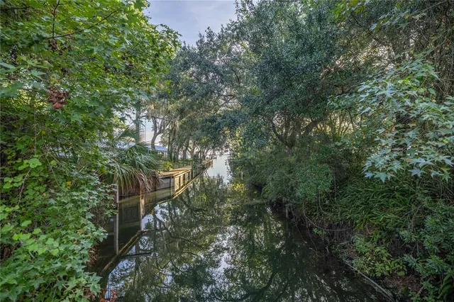 a backyard of a house with lots of trees