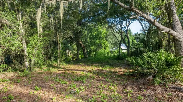 a view of backyard with green space