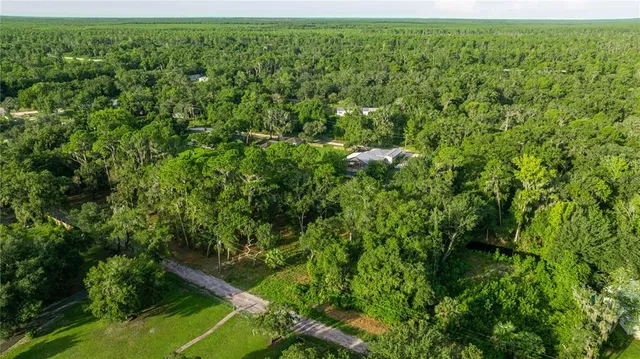 an aerial view of residential houses with outdoor space and trees