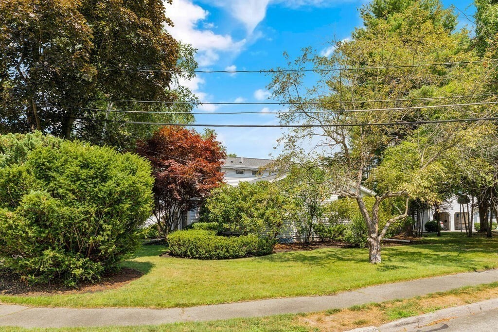 124 Damon Road Needham, MA 02494 - Photo 40 of 42 a view of a yard with an trees