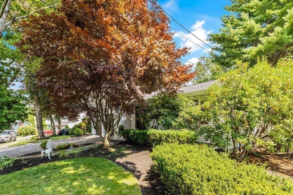 124 Damon Road Needham, MA 02494 - Photo 41 of 42 a backyard of a house with lots of green space