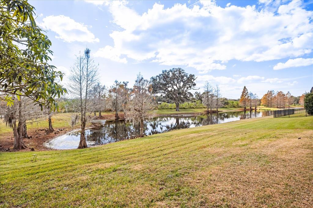 813 Marsh Reed Drive Winter Garden, FL 34787 - Photo 38 of 49