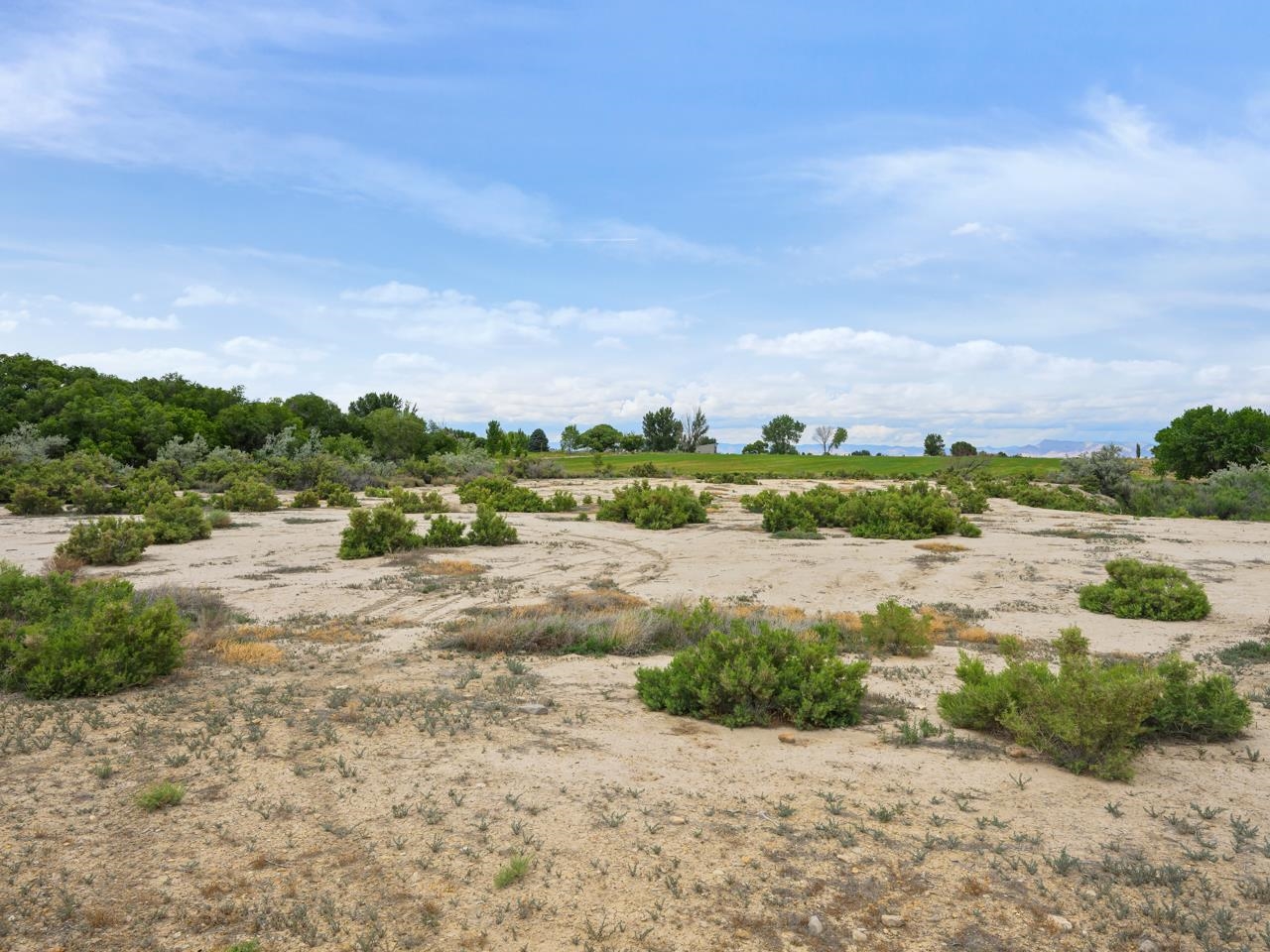 1812 M 3/4 Road Fruita, CO 81521 - Photo 6 of 13 a view of a road with an ocean view