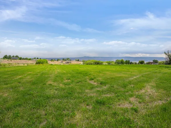 a view of a green field with lots of bushes